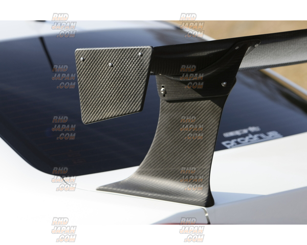 Esprit GT Wing 052 with Gurney Flap For Sports Wet Carbon - Lancer